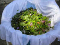 DSC02619-web.jpg (28593 byte)