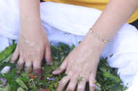 _mg_0410.jpg (21685 byte)