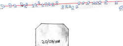 zanelli11.JPG (6239 byte)