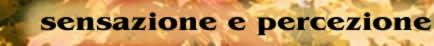 Unit� didattiche sensazione e percezione